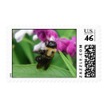 Bee with Velvet Flowers Postage