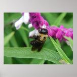 Bee with Velvet Flowers - Poster