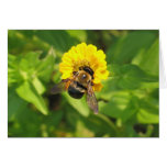 Bee-You-ti-ful Day Card