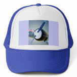 Beech 18 Radial Trucker Hat