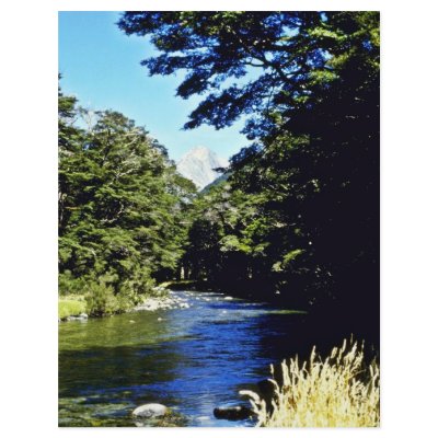 Beech Forest And River, Mount Aspiring National Pa Flyer Design by BreathtakingNature
