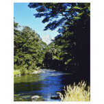 Beech Forest And River, Mount Aspiring National Pa flyers