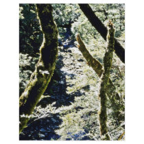 Beech Forests, Leslie River, Tasman Mountains Custom Flyer