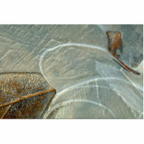 Beech leaf in ice photo sculpture