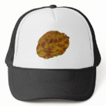 Beech sheet beech leaf hat