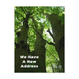 Beech Trees New Address Announcement postcard