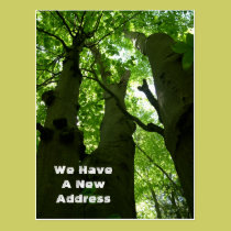 Beech Trees New Address Announcement postcards