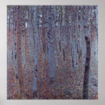 Beeches Canvas Print
