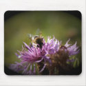 Beeeeeeeee mousepads by mefluffy3 Beeeeeeeee mousepads