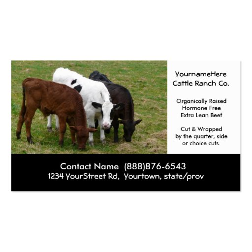 Beef Cattle Farming  or Butchering Business Card (front side)