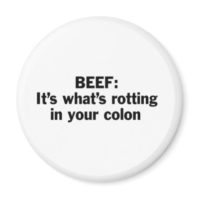 Beef Rotting in Your Colon Fridge Magnet by XanARu