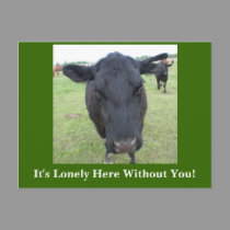 Beef Tails postcards by sharpcreations Beef Tails postcards