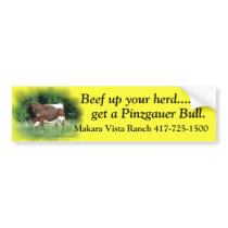 Beef Up Your Herd-add your name Bumper Stickers