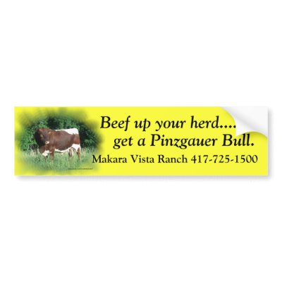 Beef Up Your Herd-add your name Bumper Stickers by MakaraPhotos