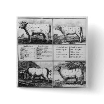 Beef, Veal, Pork, and Mutton Cuts, 1802 Pin