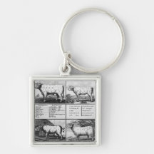 Beef, Veal, Pork, and Mutton Cuts, 1802 Key Chains