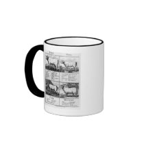 Beef, Veal, Pork, and Mutton Cuts, 1802 Mug
