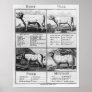 Beef, Veal, Pork, and Mutton Cuts, 1802 Posters