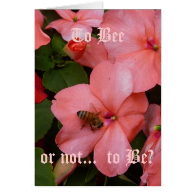 Beegonia Cards by persimew