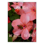 Beegonia cards