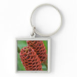 Beehive Ginger, Zingiber spectabile), Key Chains