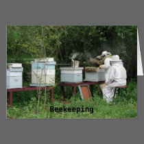 Beekeeping class cards