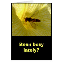 Been busy? cards