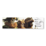 Been there.  Done That. Bumper Sticker