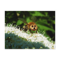 Beeog postcards by Junglegeorge Beeog postcards