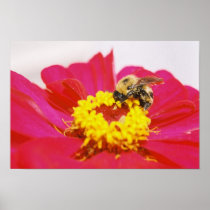 BeeOnGerber.jpg Poster