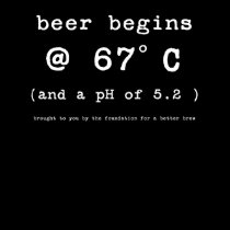 Beer Begins at 152 Degrees Celsius t-shirts