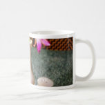 Beer Glass Mugs