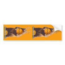 Beer Mosa? bumper stickers by hansenmr Beer Mosa? bumper stickers