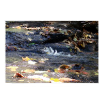 Beersheba Springs posters