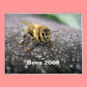 Bees 2008 calendars by florianesser Bees 2008 calendars