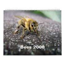 Bees 2008 calendars