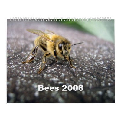 Bees 2008 wall calendars by florianesser