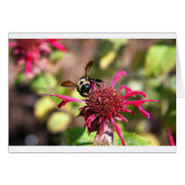 Bees and Blooms - Nothing is Wasted cards by dphotogear Bees and Blooms - Nothing is Wasted cards