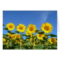 Bees and Sunflowers Against a Vibrant Blue Sky Card