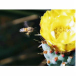 Bees Cactus Flowers Photo Sculpture
