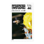 Bees Cactus Flowers Stamp