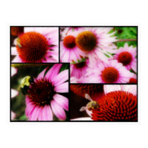 Bees & Cones posters by londie Bees & Cones posters