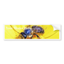 Bees Flowers Insects Bumper Sticker