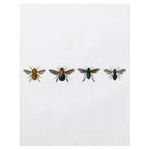 Bees flyers