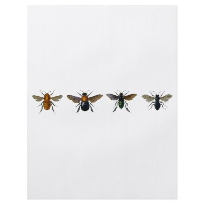 Bees Flyers by spyderfyngers