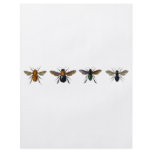 Bees flyers