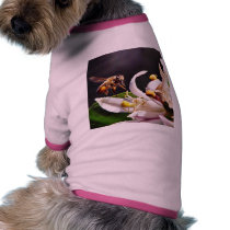 Bees Flying pet clothing by lifesphere Bees Flying pet clothing