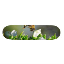 Bees Fying Flight Wings Skate Boards