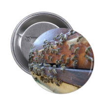 Bees Getting In Their Hive Button