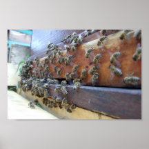 Bees Getting In Their Hive Print